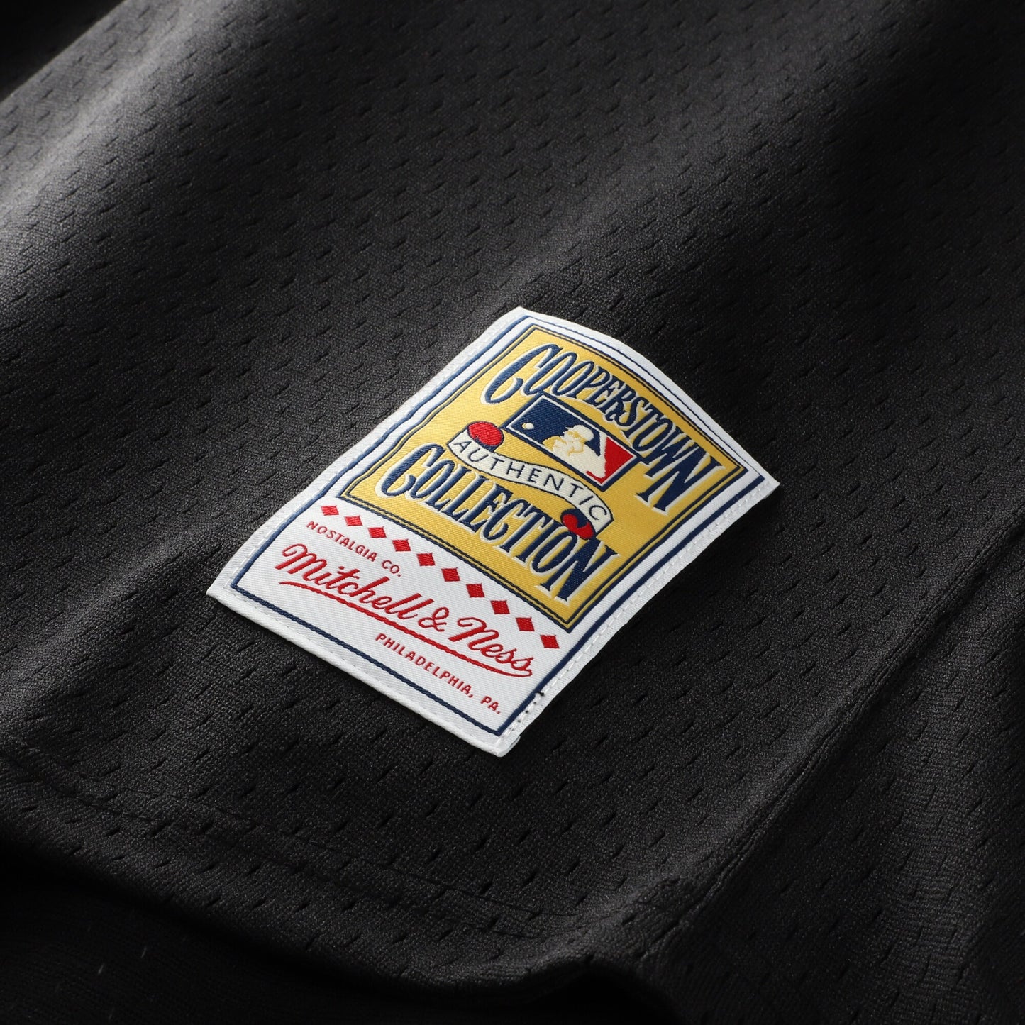 Craig Biggio Houston Astros Mitchell & Ness Authentic Batting Practice Jersey - Black