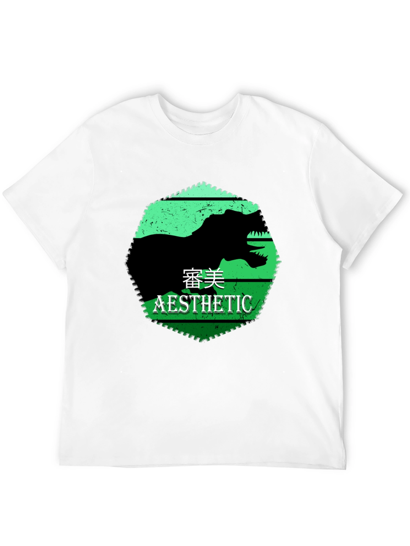Aesthetic Dinosaur Graphic Tee