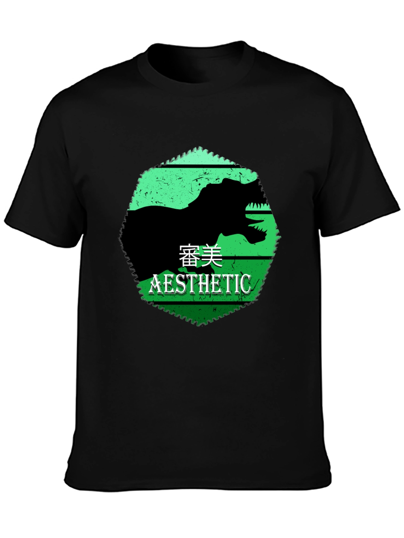 Aesthetic Dinosaur Graphic Tee