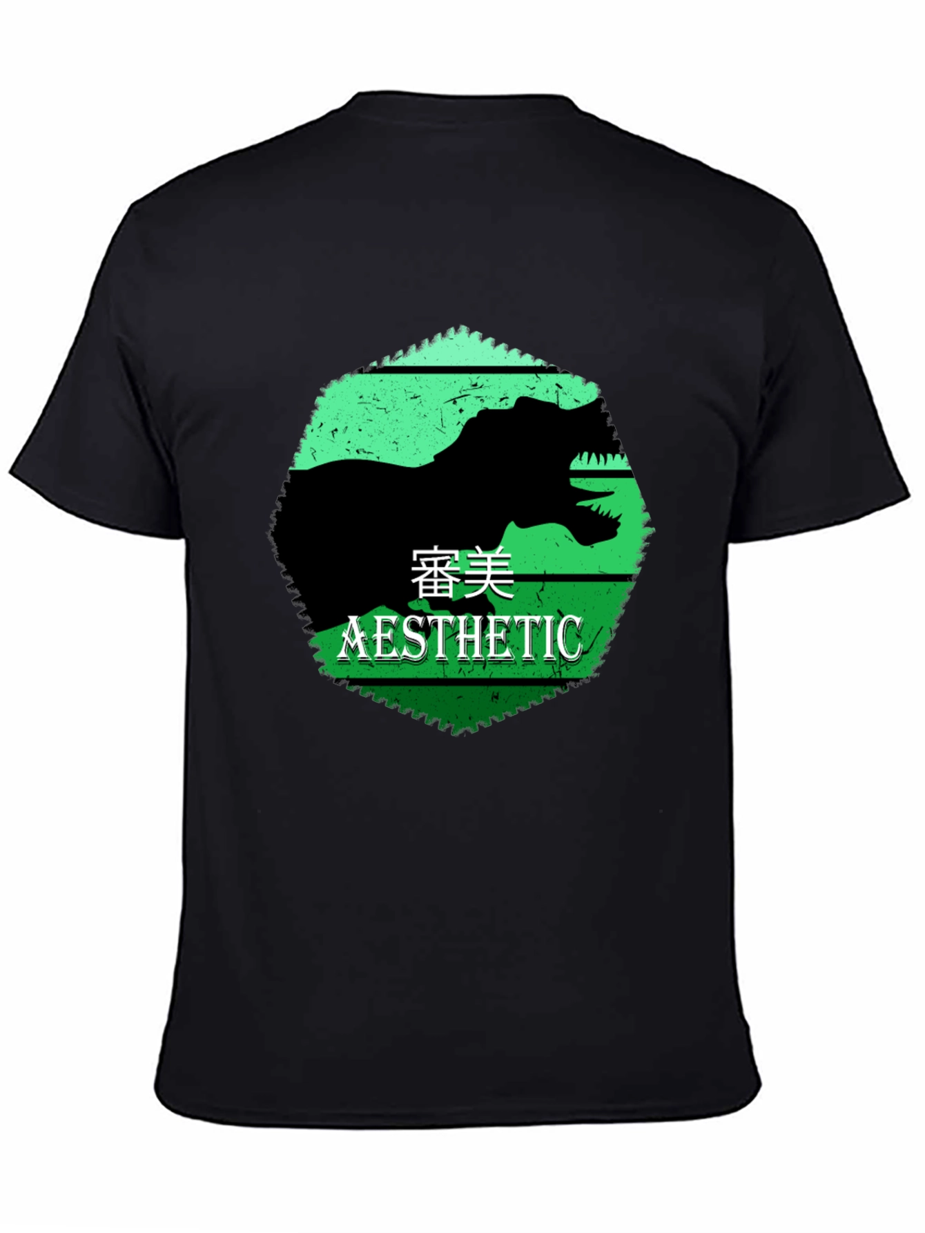 Aesthetic Dinosaur Graphic Tee