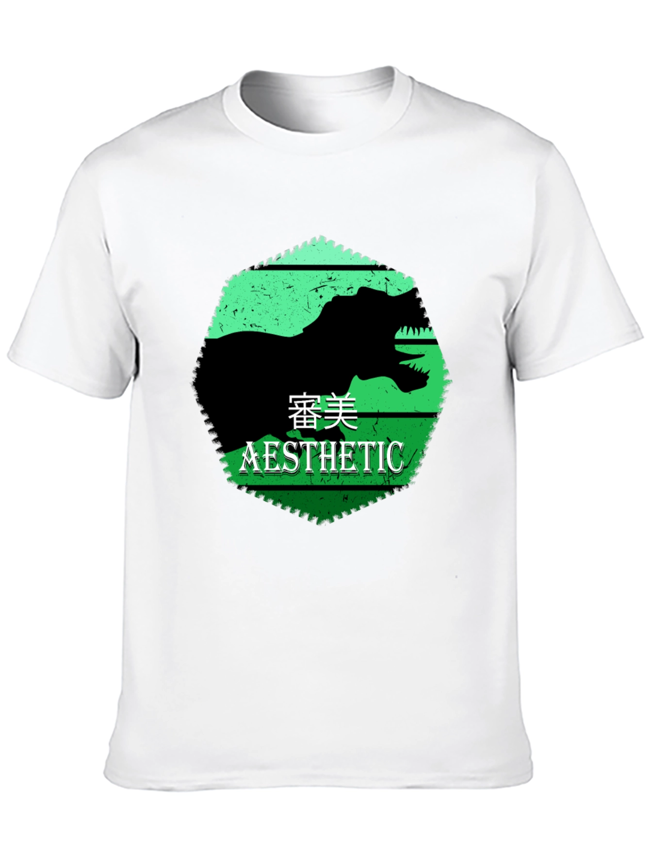 Aesthetic Dinosaur Graphic Tee