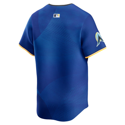 Minnesota Twins Nike City Connect Limited Jersey - Royal