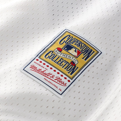Carlton Fisk Chicago White Sox Mitchell &amp;amp; Ness Authentic Batting Practice Jersey - White