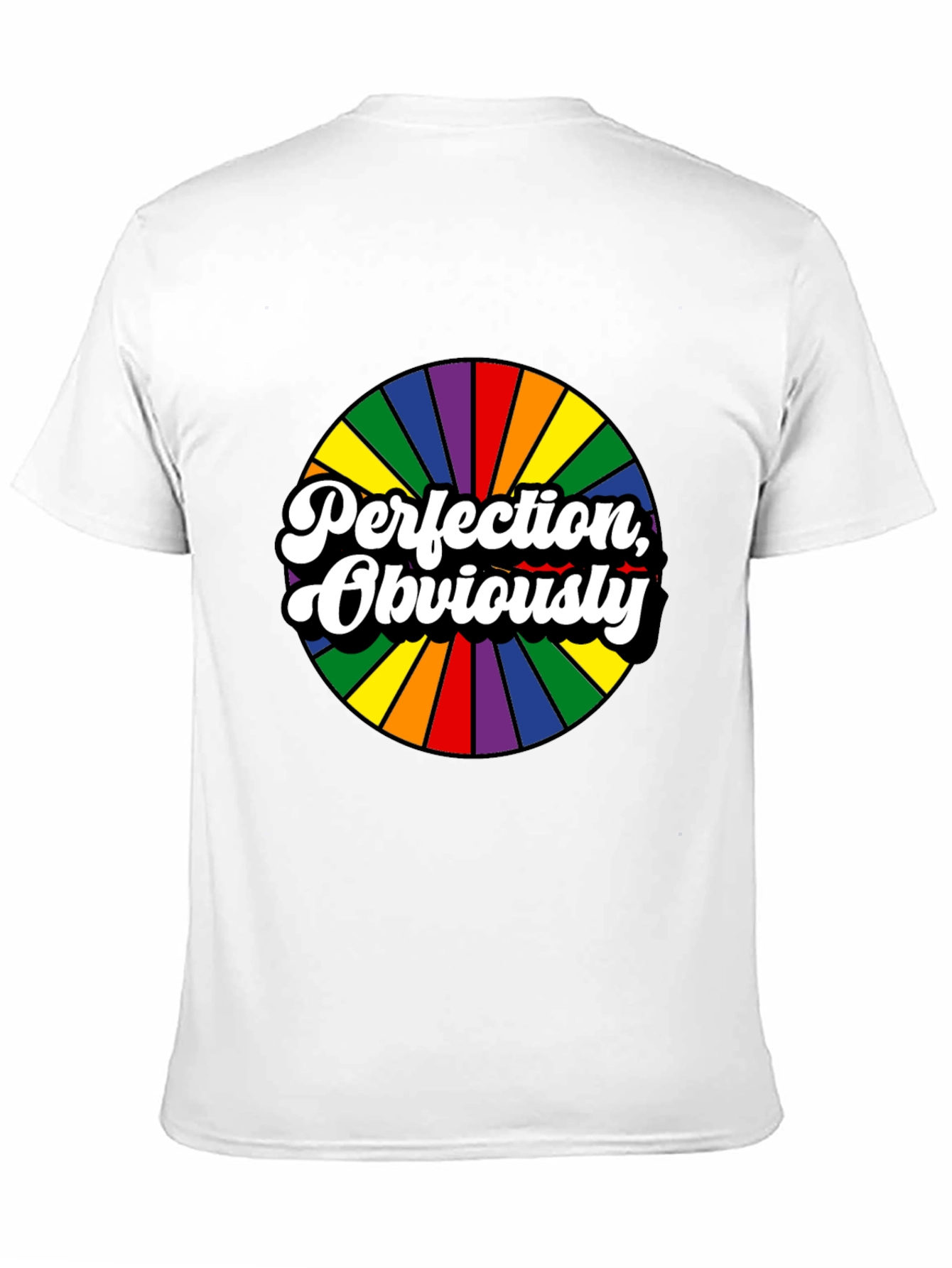 Perfection Obviously Rainbow Circle Black Tee
