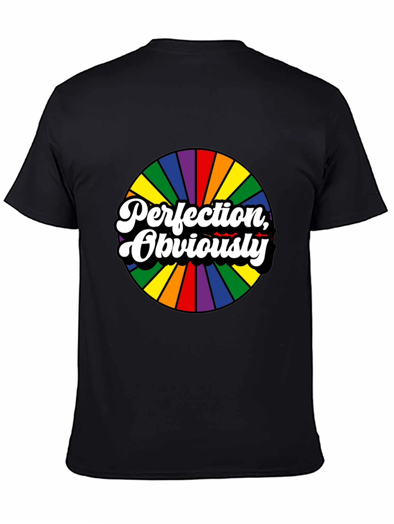 Perfection Obviously Rainbow Circle Black Tee