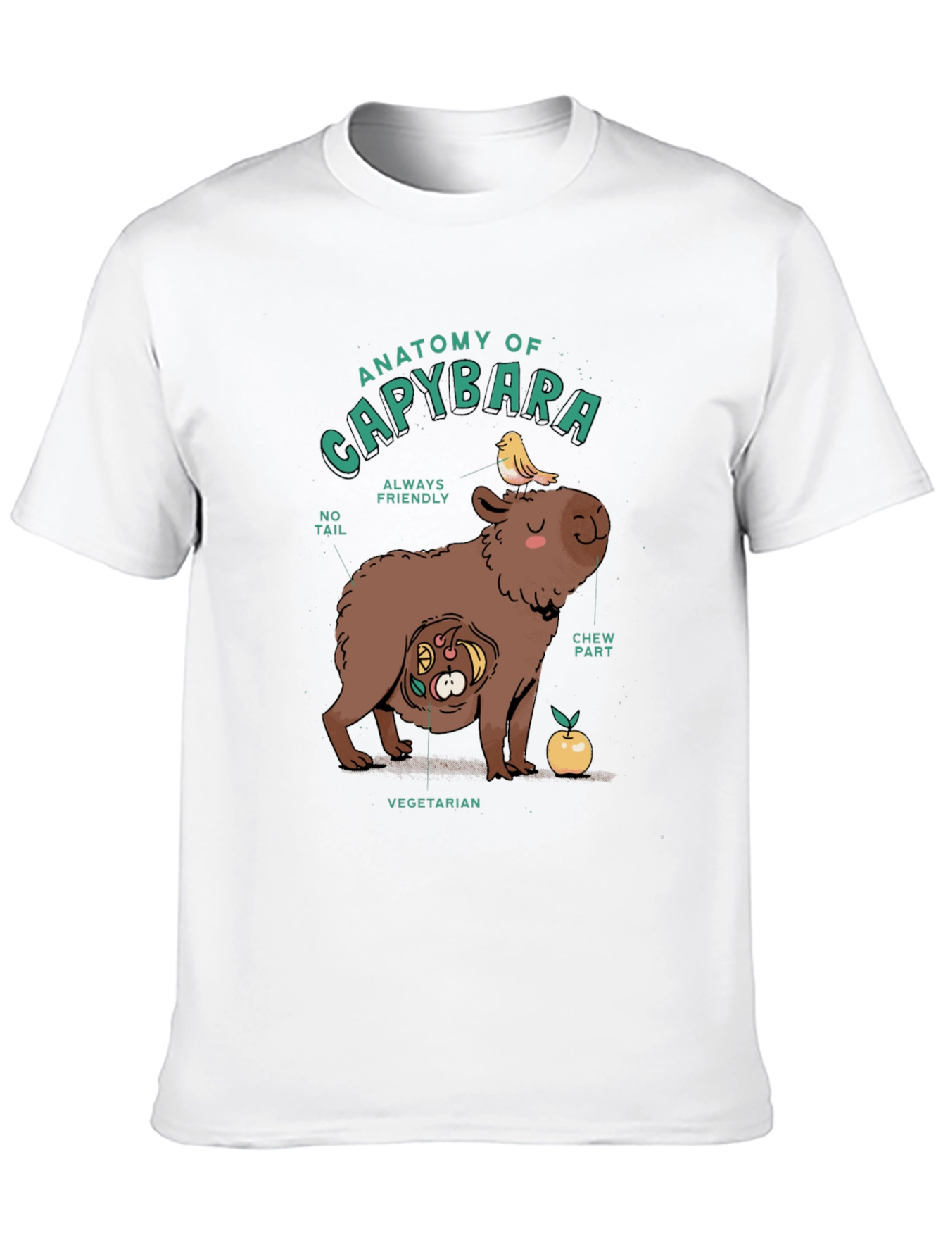 Anatomy of a Capybara Graphic T-Shirt