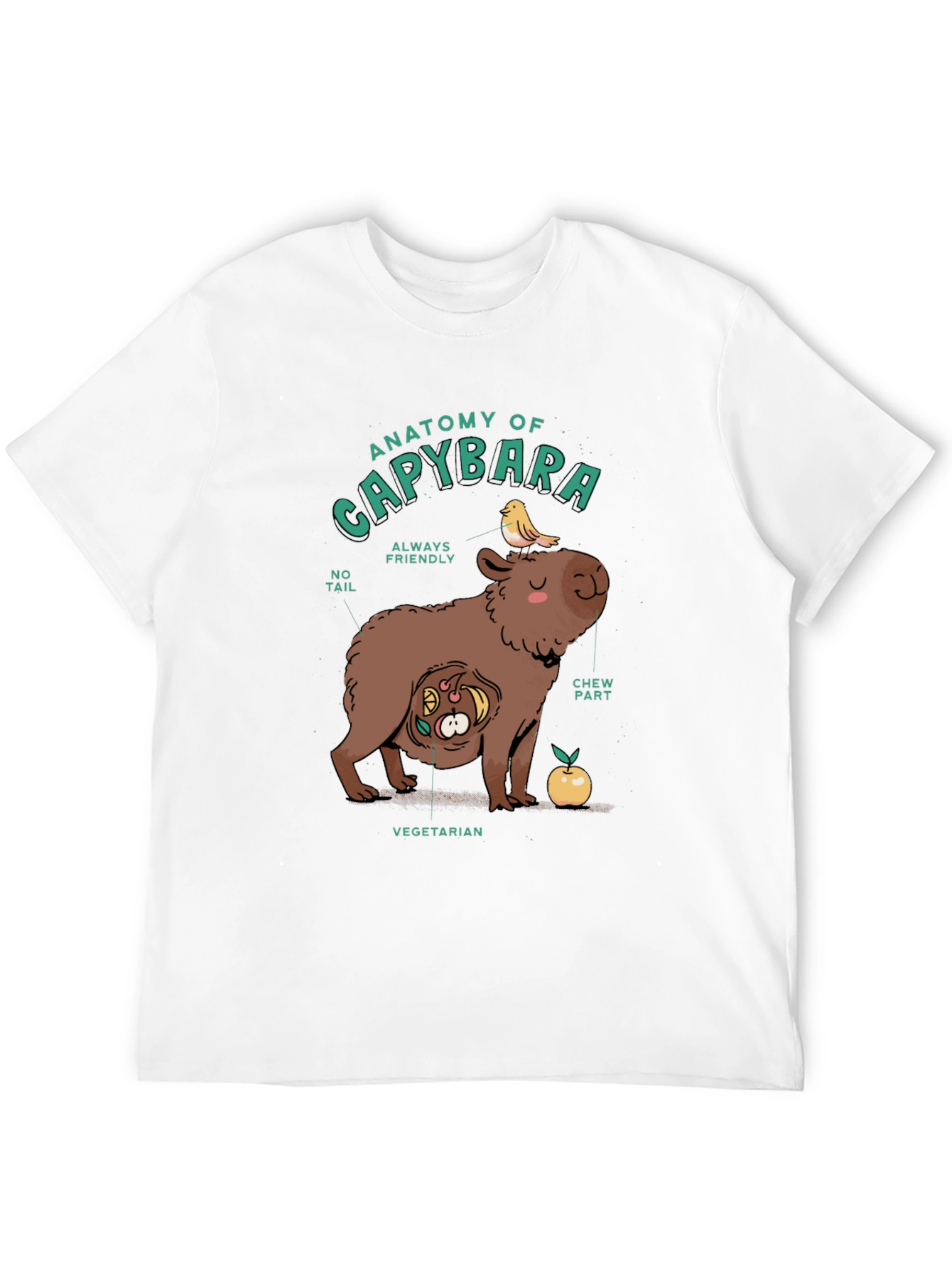 Anatomy of a Capybara Graphic T-Shirt