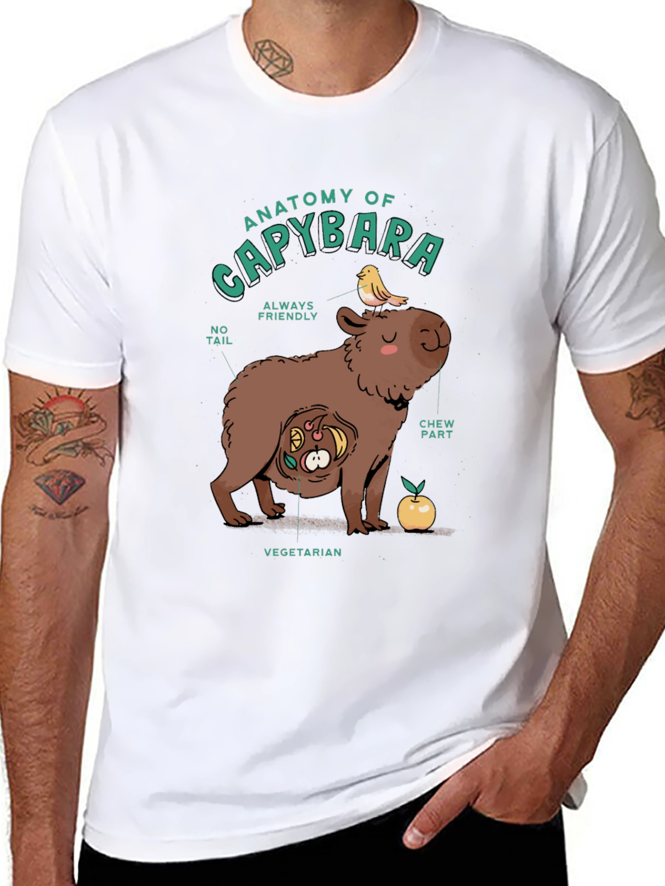 Anatomy of a Capybara Graphic T-Shirt