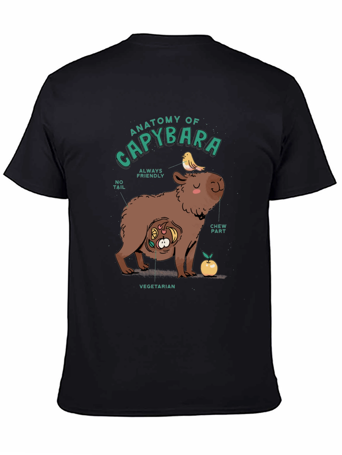 Anatomy of a Capybara Graphic T-Shirt