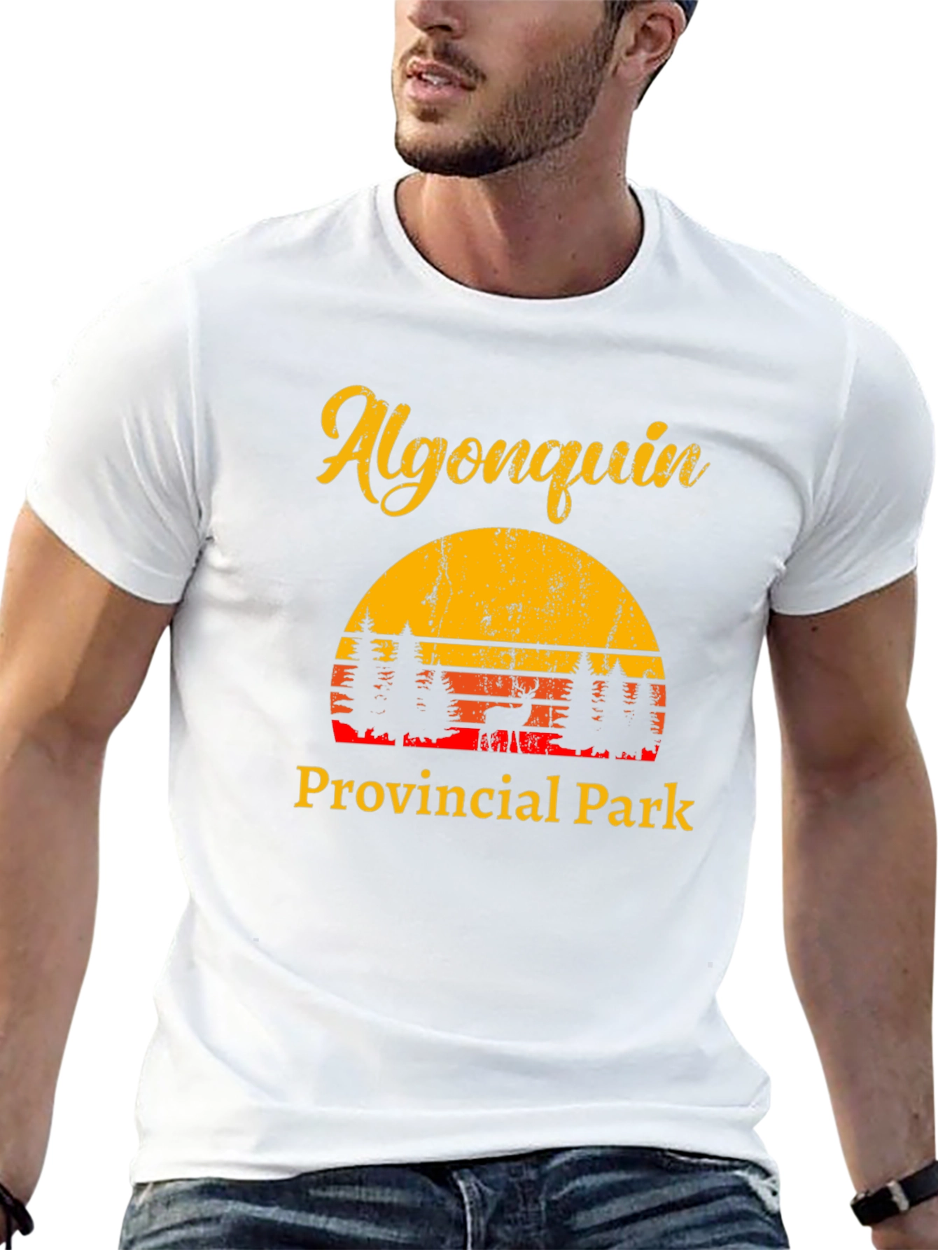 Algonquin Park Retro Graphic Tee