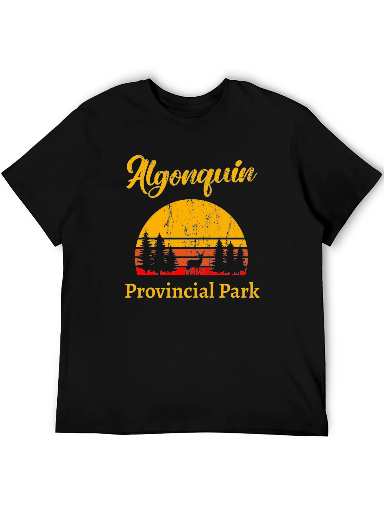 Algonquin Park Retro Graphic Tee