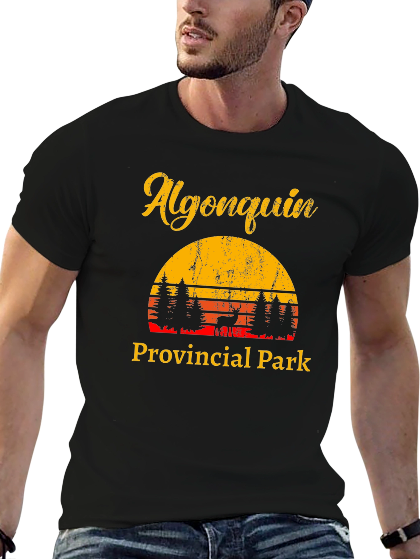 Algonquin Park Retro Graphic Tee